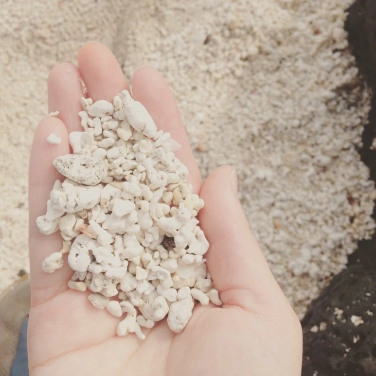 1B63AE68-A63B-4AF5-90F9-1E7544DEB14E.jpg?type=w773