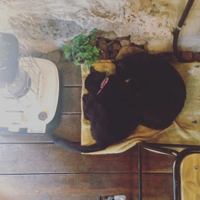 lDVtx3-f.jpg?type=w773