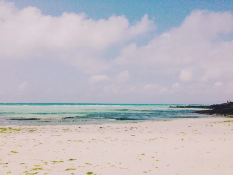 se3_image_604674749.jpg?type=w773