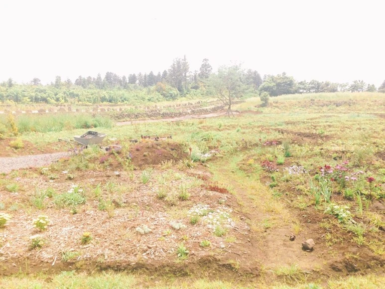 IMG_2213.jpg?type=w773