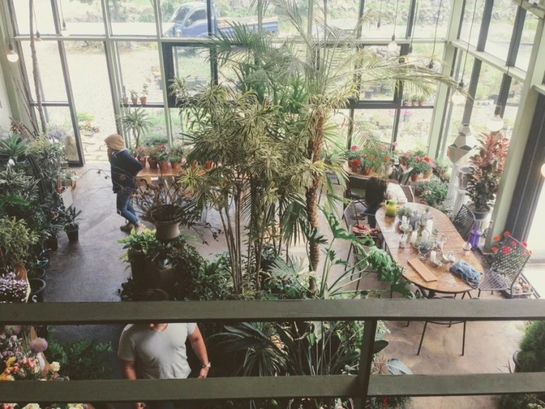 E93B1912-EFB9-4DAA-95BA-30DDFA394C49.jpg?type=w773