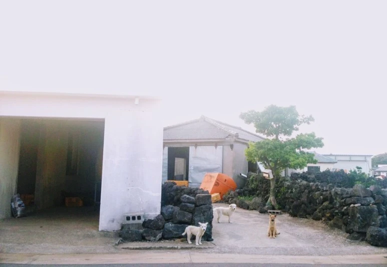 9EE5244E-18EC-4C3F-97D2-1A809640E01C.jpg?type=w773