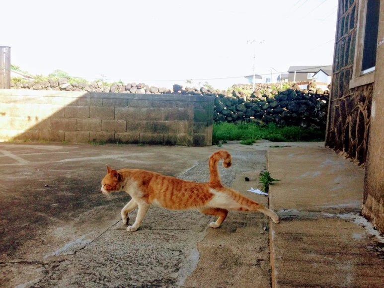 5F4121B8-7CE8-43D8-BB32-328604E98053.jpg?type=w773