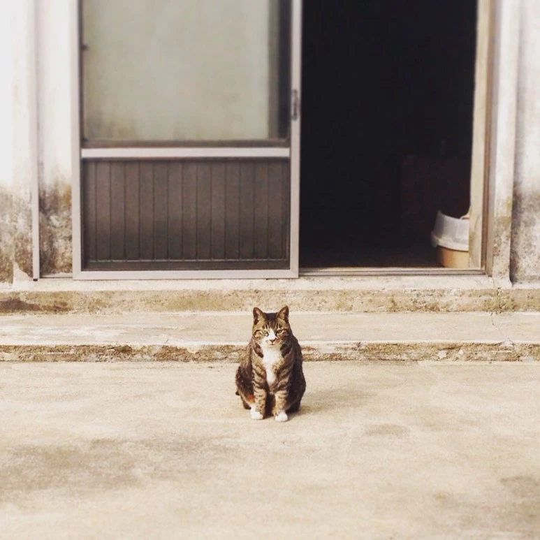 IMG_9088.jpg?type=w773