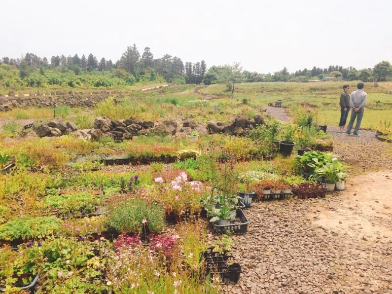 IMG_2207.jpg?type=w773