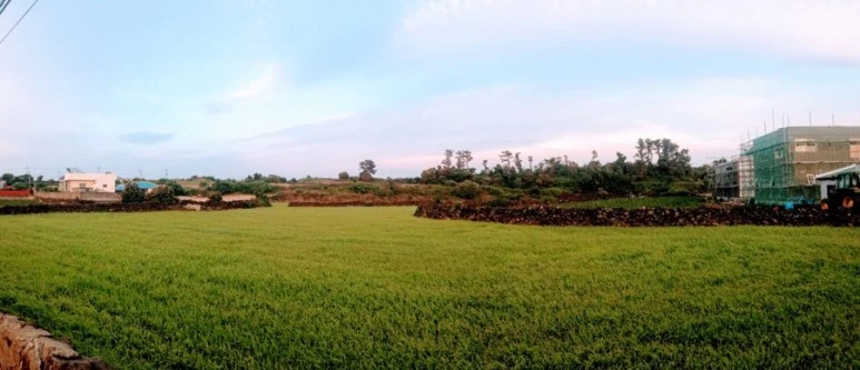 AAA9462E-D917-4BE4-9DF5-70DF8F6A9011.jpg?type=w773