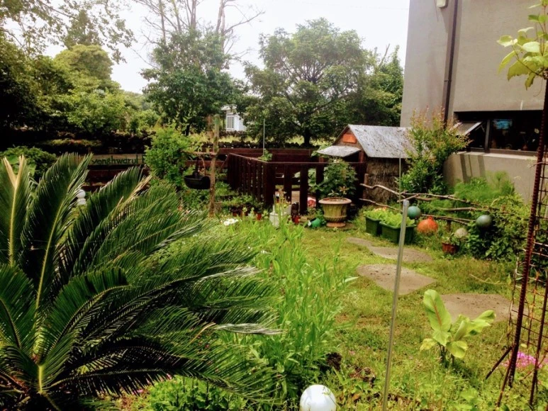 6F056971-B9F1-4561-80B8-2BC5292FC992.jpg?type=w773