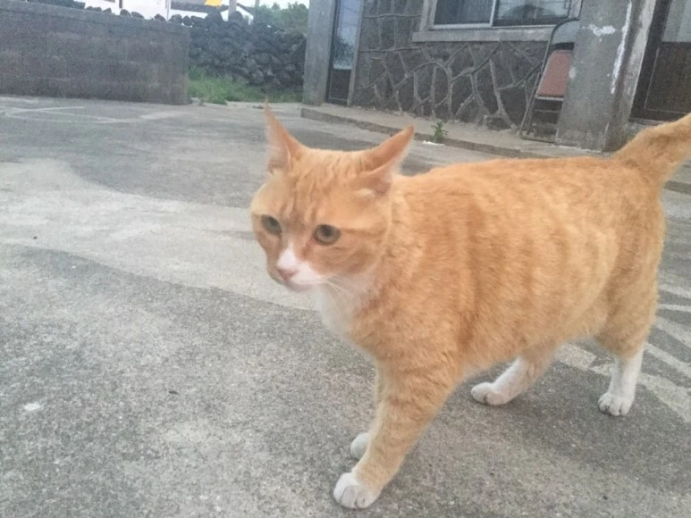 IMG_2358.jpg?type=w773