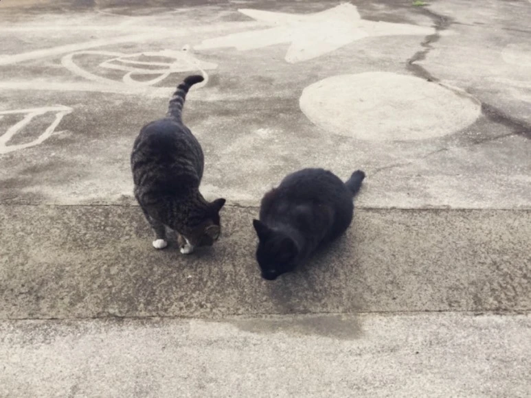 se3_image_943644767.jpg?type=w773