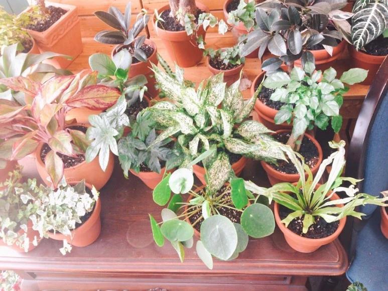 IMG_2214.jpg?type=w773