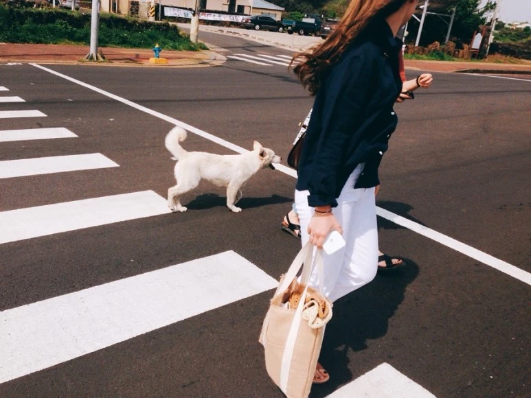 IMG_8759.jpg?type=w773