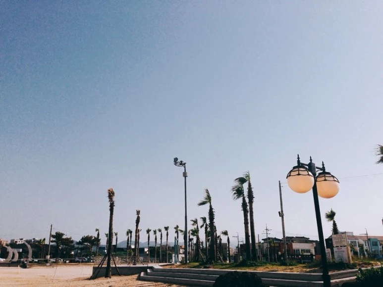 IMG_9063.jpg?type=w773