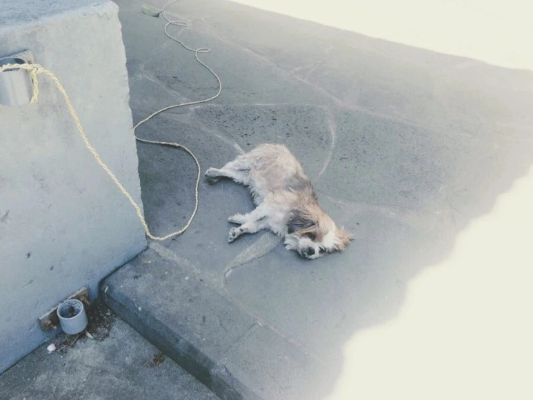 DFFE980F-098D-4710-9C4B-706D75736A0E.jpg?type=w773