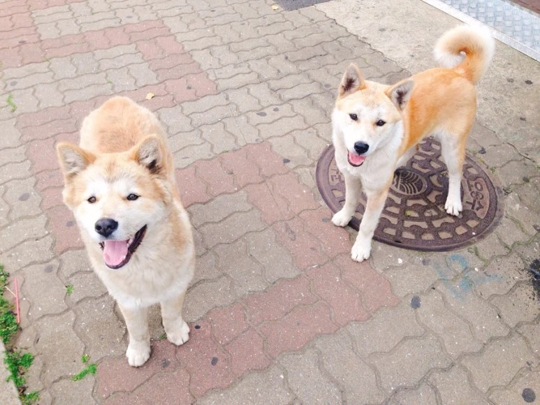 IMG_8757.jpg?type=w773