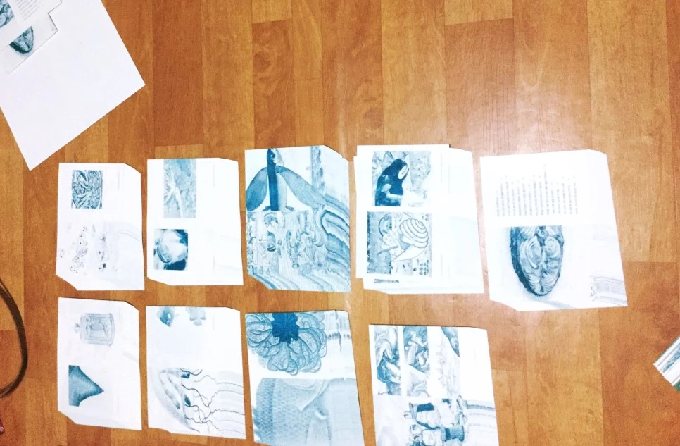 image_7924611461532340183553.jpg?type=w966