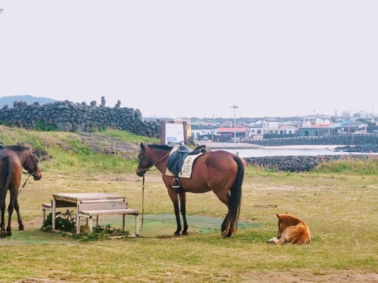 95A51603-B406-4BF9-9E0A-4DEEB3186D63.jpg?type=w773