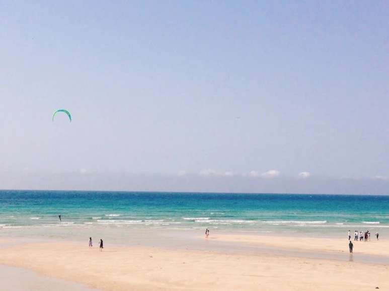 IMG_9064.jpg?type=w773