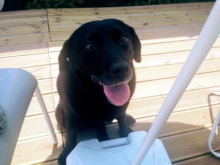 652238B9-E2D1-48C3-9259-21B49294C35A.jpg?type=w773