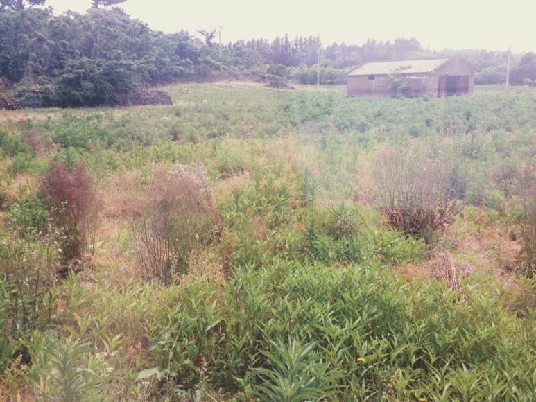 81F0B4A5-6B6B-4137-B391-3720B4C9EDA6.jpg?type=w773