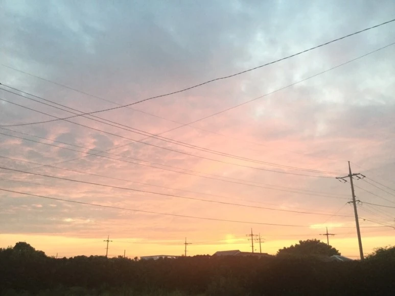 IMG_2339.jpg?type=w773