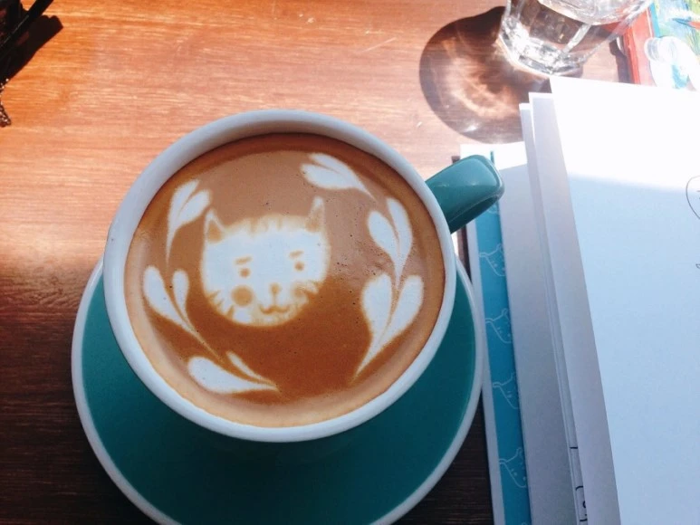 IMG_2244.jpg?type=w773