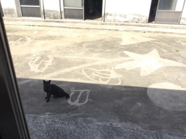 IMG_2048.jpg?type=w773