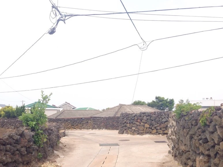 IMG_9135.jpg?type=w773