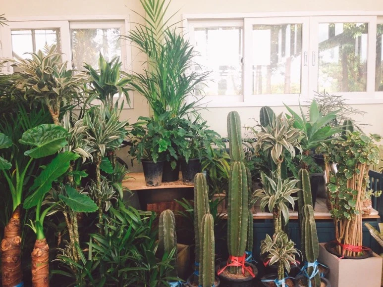 IMG_2212.jpg?type=w773