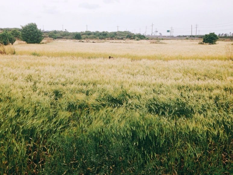 IMG_8855.jpg?type=w773