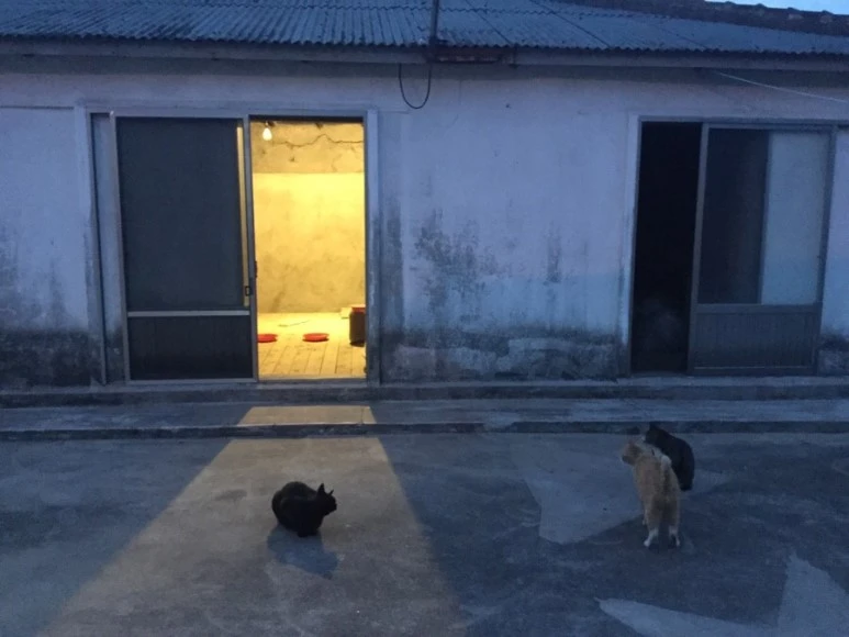 IMG_2481.jpg?type=w773