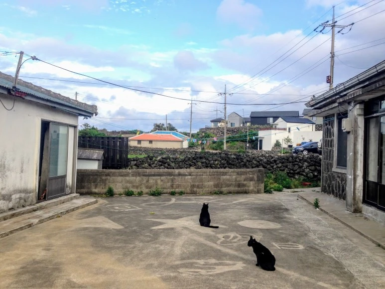 IMG_1001.JPG?type=w773