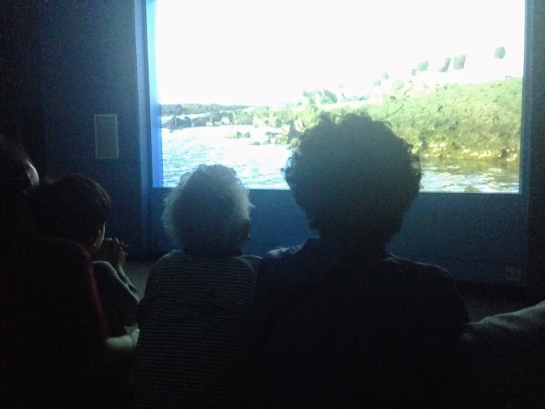 6FF240FC-6DFA-47EF-B05A-61A7CF055915.jpg?type=w773