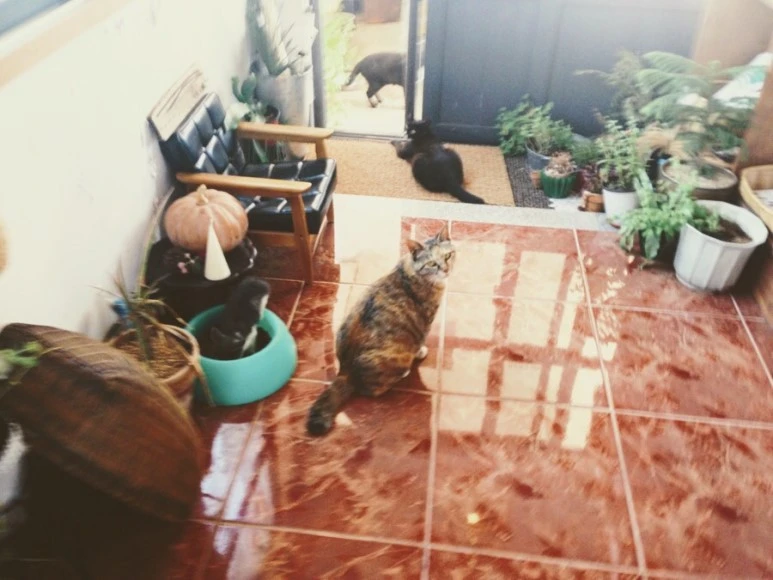 44D96F57-19DF-4FAF-92BB-6AB09AF6AC27.jpg?type=w773