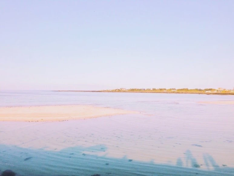 D829B5CC-0D1C-4EFF-8533-0AC28C303585.jpg?type=w773