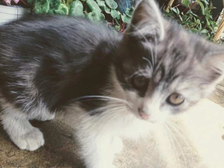 6A87C4AA-8F37-43F5-A90B-D9CC6BFF4418.jpg?type=w773