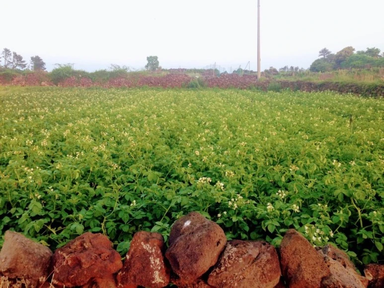 08F06A72-AE54-4D3A-B1F0-DBCD4BCCE4E2.jpg?type=w773