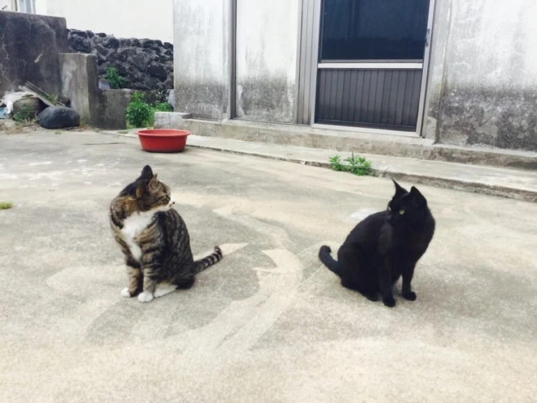 IMG_2459.jpg?type=w773