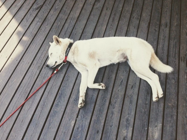 74A6167E-C6F3-466B-B21D-32B67CDE3AEE.jpg?type=w773