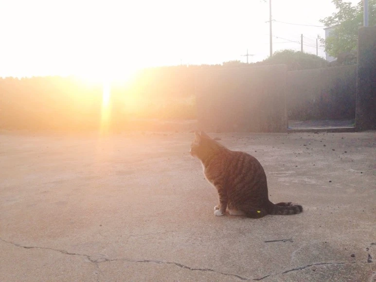 IMG_9130.jpg?type=w773