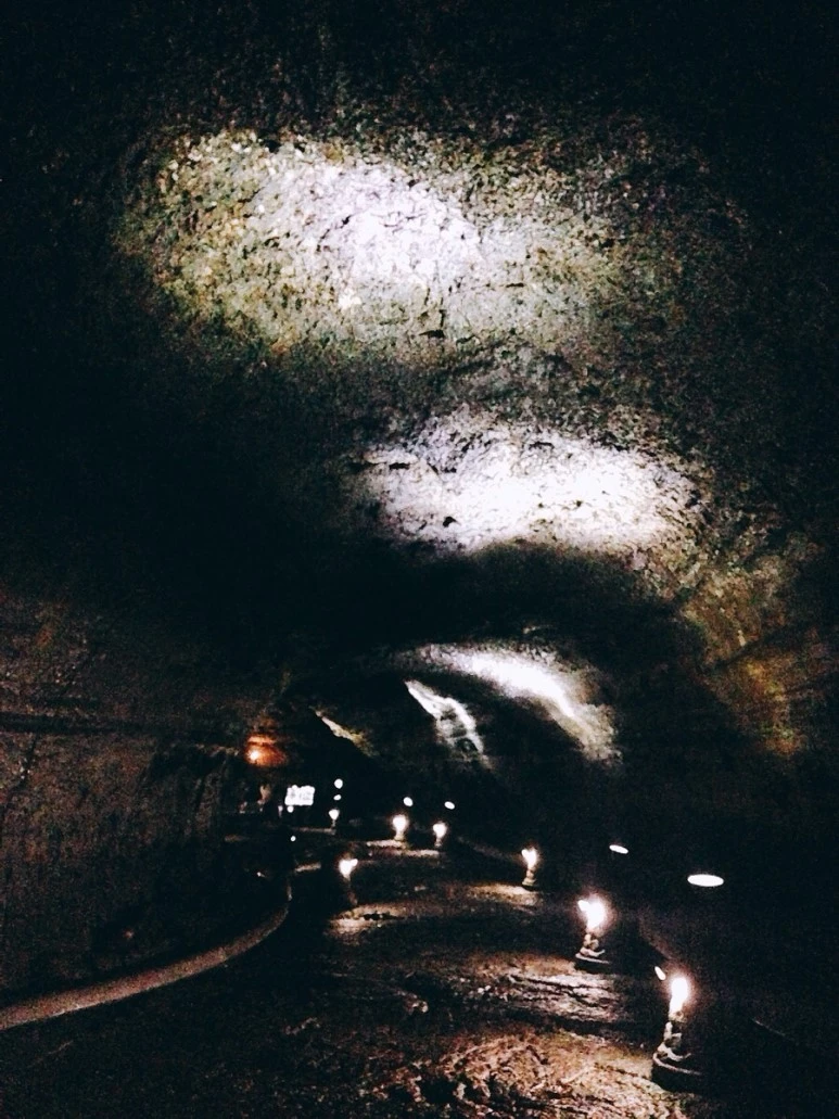 IMG_8854.jpg?type=w773