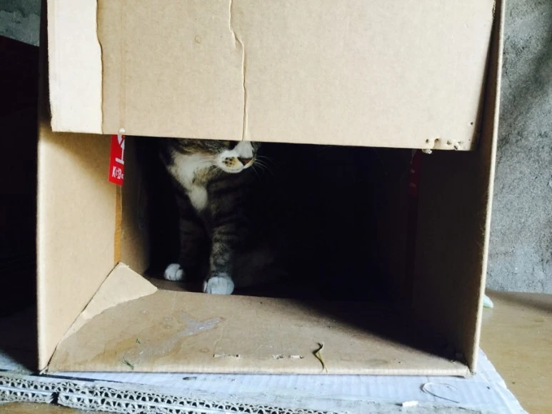 IMG_2415.jpg?type=w773