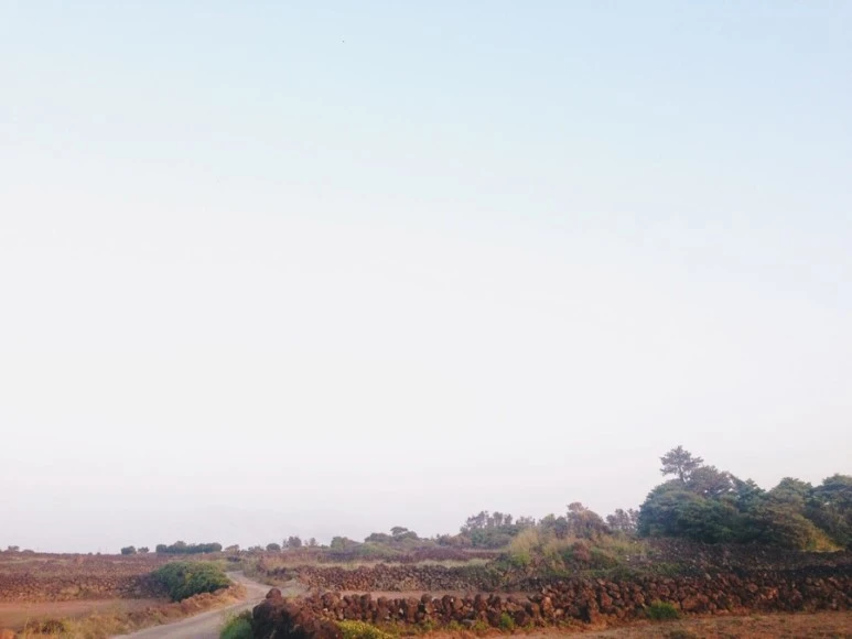 AF6A91D1-0127-44C5-9A85-D65EAF9FC6C1.jpg?type=w773