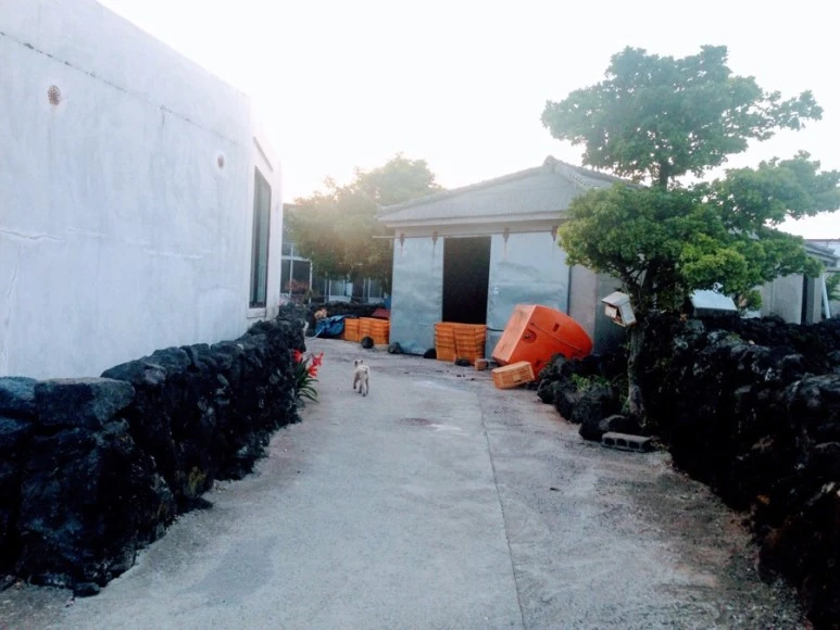 297C9801-90E6-473C-AE95-8790CD083EC7.jpg?type=w773