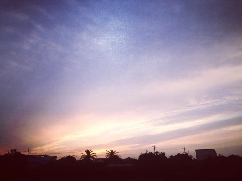 07461E48-205E-46EE-9974-F458BD29D5B3.jpg?type=w773