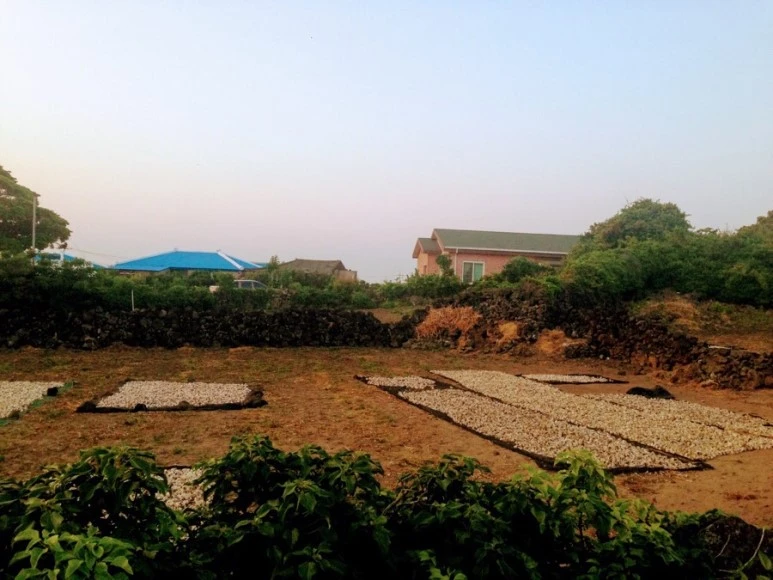 C6F05C17-6E3A-434C-90DE-D0E13EB0B266.jpg?type=w773