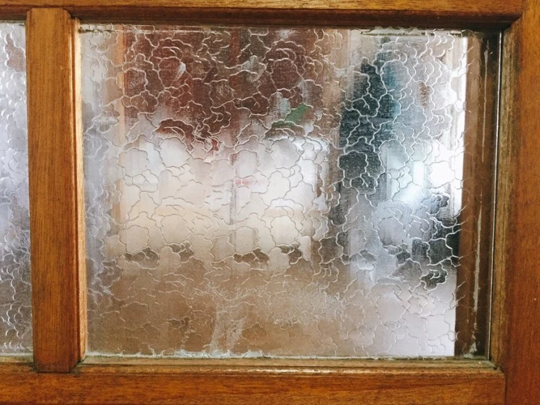 IMG_2041.jpg?type=w773