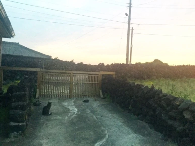 se3_image_229405081.jpg?type=w773