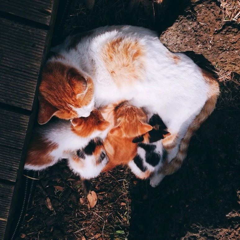 IMG_8851.jpg?type=w773