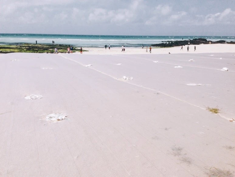 IMG_9071.jpg?type=w773