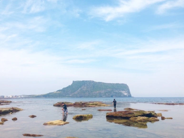 se3_image_3820308225.jpg?type=w773